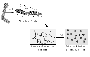 Picture: Worm-like micelles