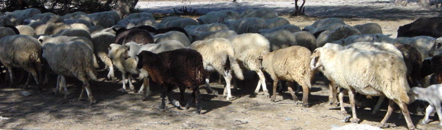 DSC00093