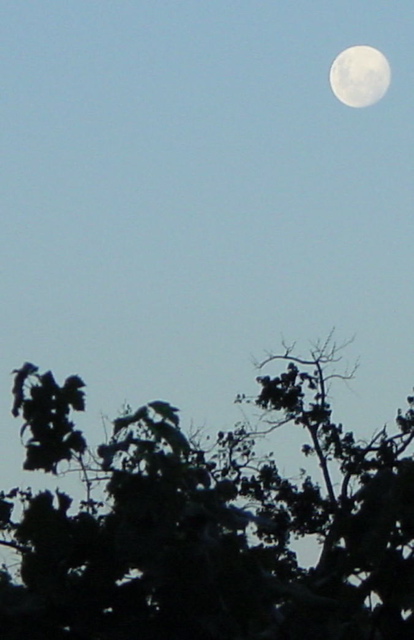 DSC00175
