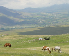 DSC00077