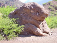 DSC00215