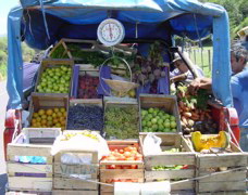 DSC00233