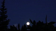 DSC00240
