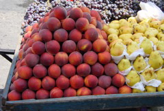 DSC00266