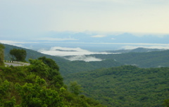 DSC00308