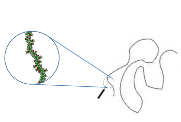 Cartoon of a Polymer: A polymer is a long chain of atoms. 